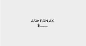 investor