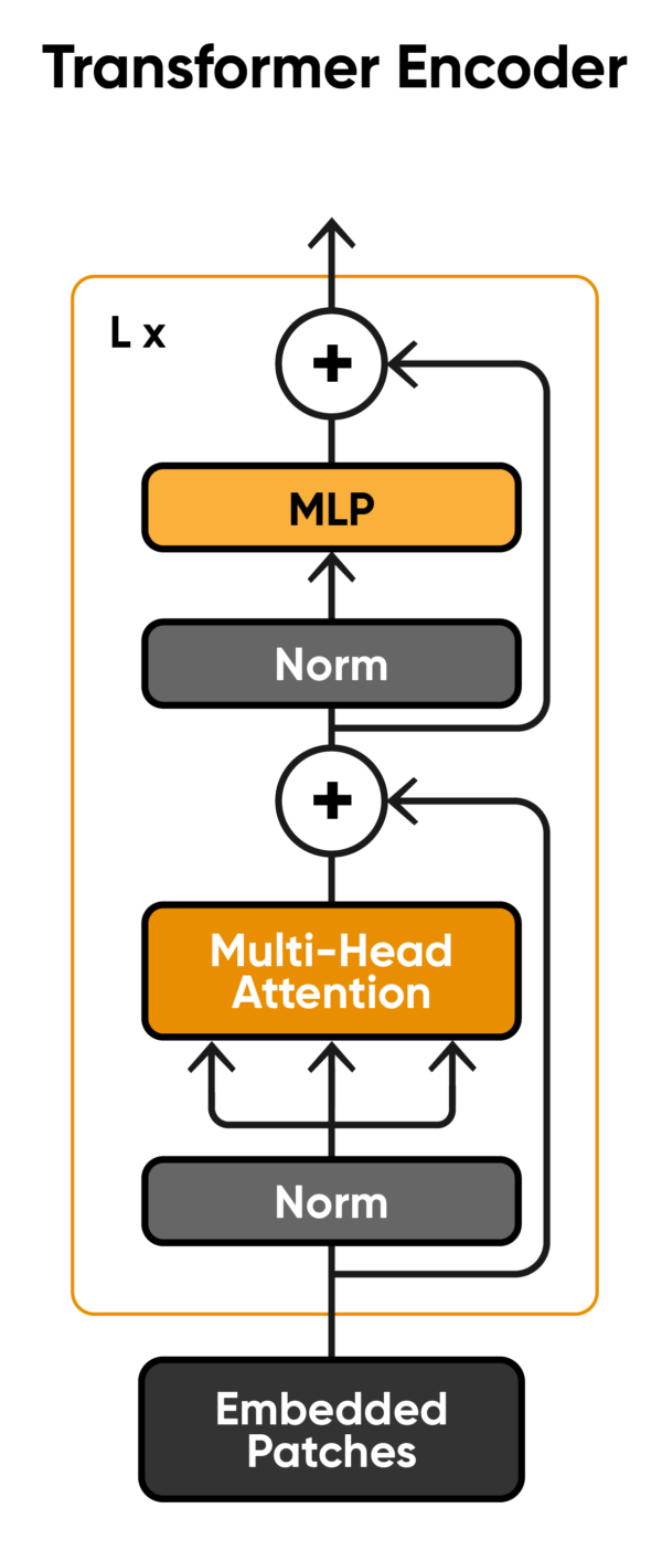 Welcome To BrainChip - From Perception To Cognition - BrainChip