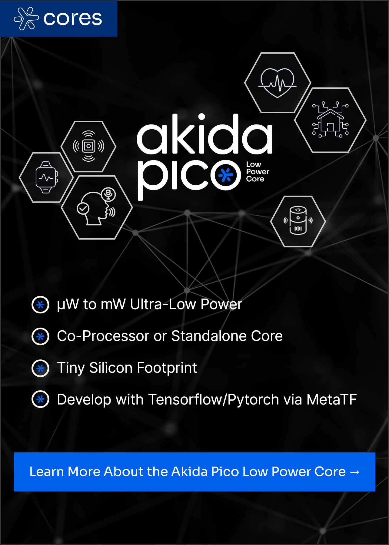 5. Akida Pico