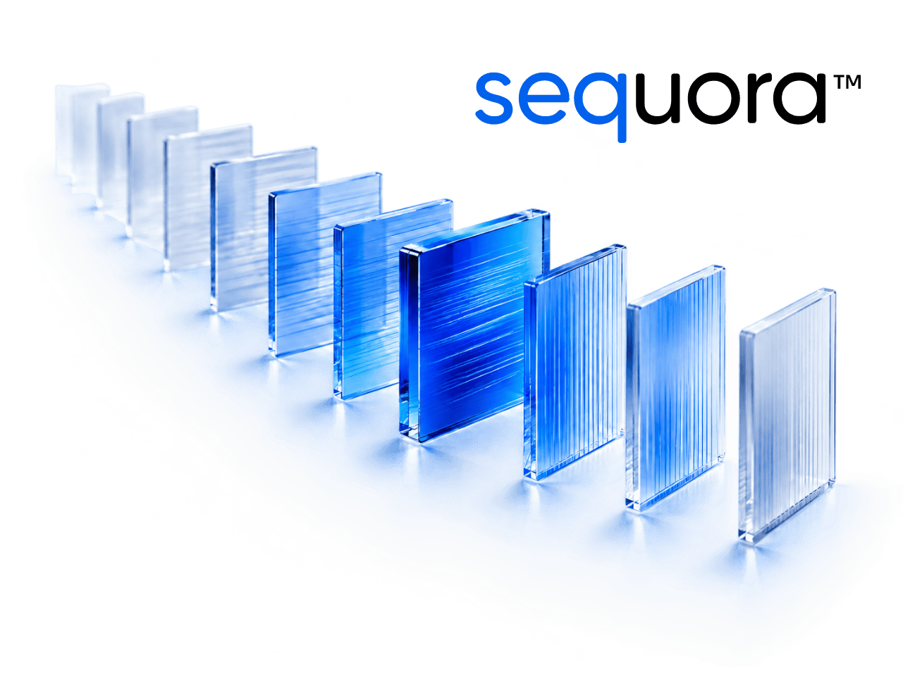 Sequora licensable RTL processor IP